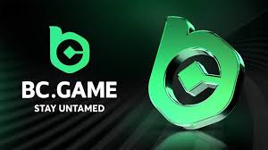 Pakistan BC.Game A New Era of Online Gambling